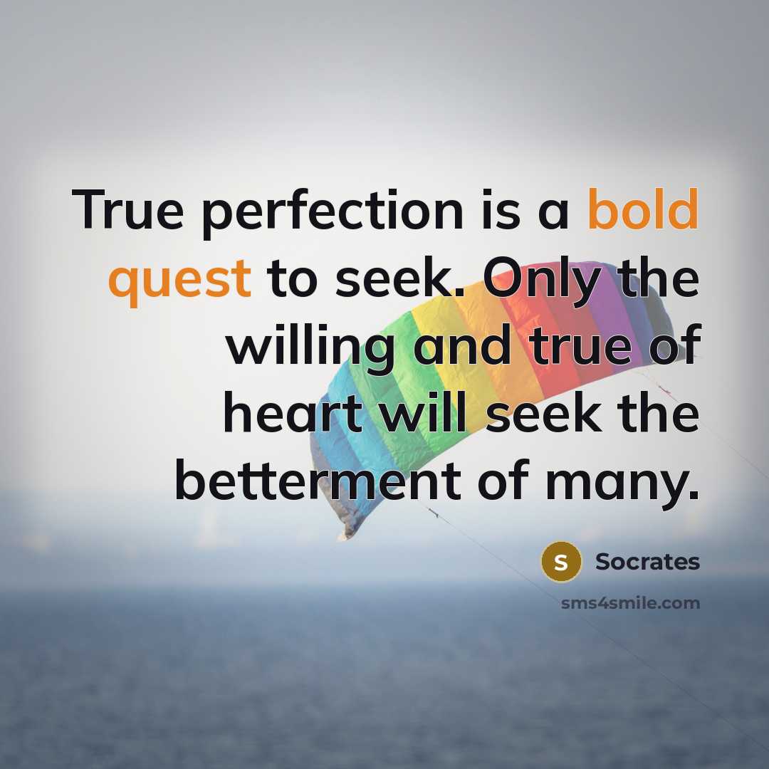 “True perfection is a bold quest to seek. Only the willing and true of heart will seek the betterment of many.” quote by Socrates