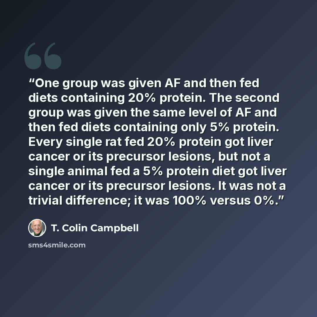 “One group was given AF and then fed diets containing 20% protein. The second group was given the same level of AF and then fed diets containing only 5% protein. Every single rat fed 20% protein got liver cancer or its precursor lesions, but not a single animal fed a 5% protein diet got liver…” quote by T. Colin Campbell