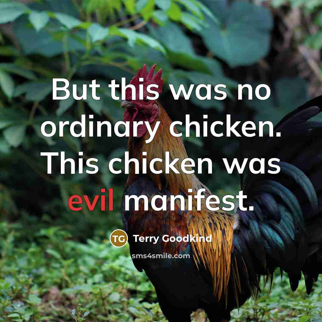 “But this was no ordinary chicken. This chicken was evil manifest.” quote by Terry Goodkind