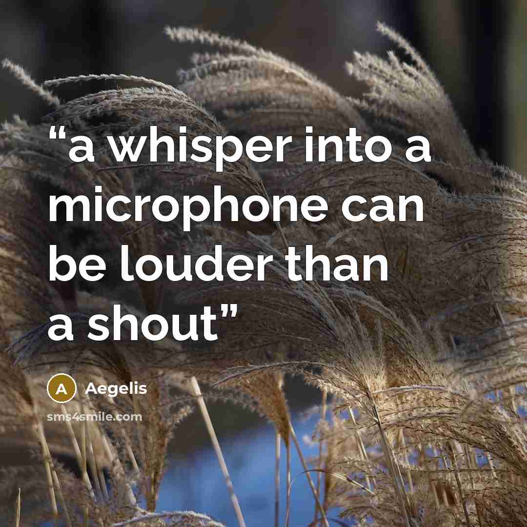 “a whisper into a microphone can be louder than a shout” quote by Aegelis