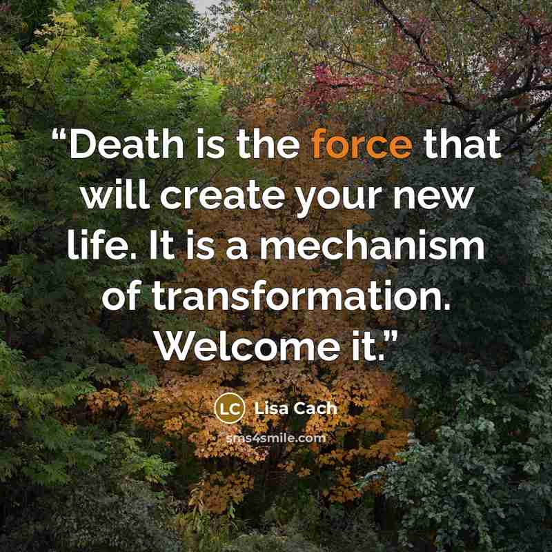 “Death is the force that will create your new life. It is a mechanism of transformation. Welcome it.” quote by Lisa Cach