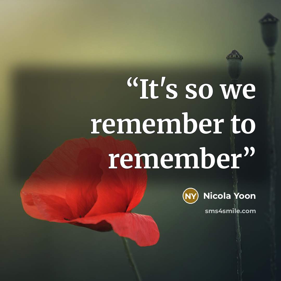 “It's so we remember to remember” quote by Nicola Yoon