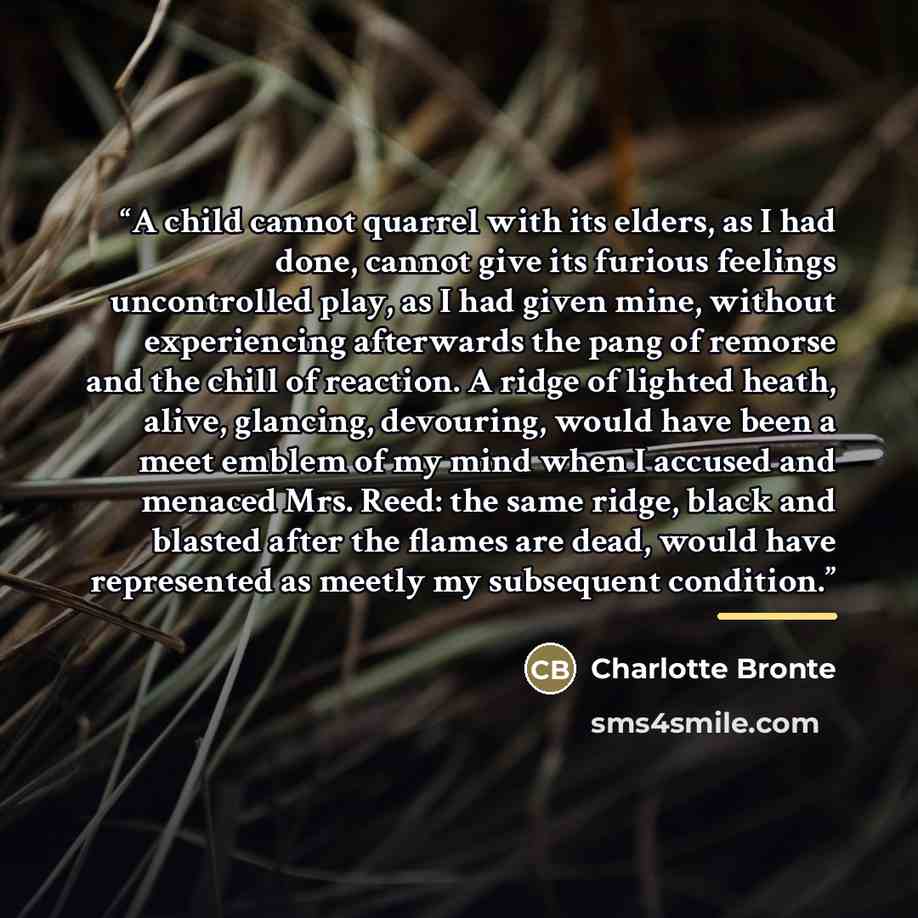 “A child cannot quarrel with its elders, as I had done, cannot give its furious feelings uncontrolled play, as I had given mine, without experiencing afterwards the pang of remorse and the chill of reaction. A ridge of lighted heath, alive, glancing, devouring, would have been a meet emblem of my…” quote by Charlotte Brontë