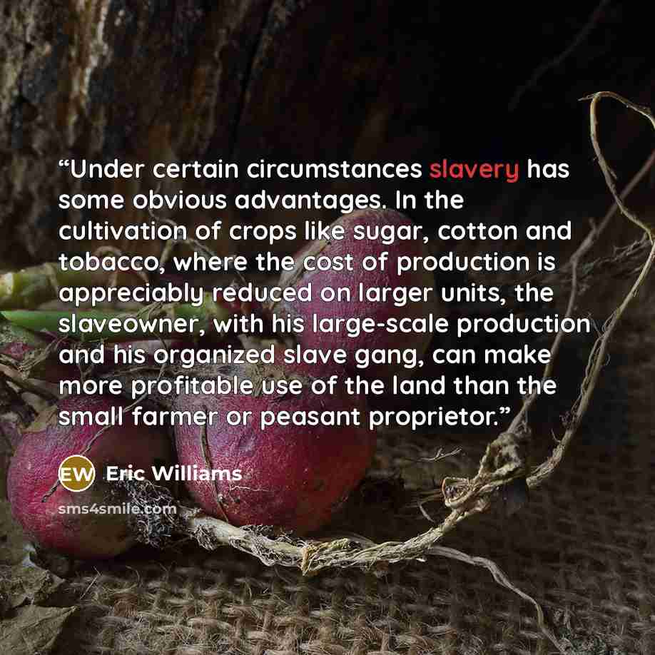 “Under certain circumstances slavery has some obvious advantages. In the cultivation of crops like sugar, cotton and tobacco, where the cost of production is appreciably reduced on larger units, the slaveowner, with his large-scale production and his organized slave gang, can make more profitable…” quote by Eric Williams