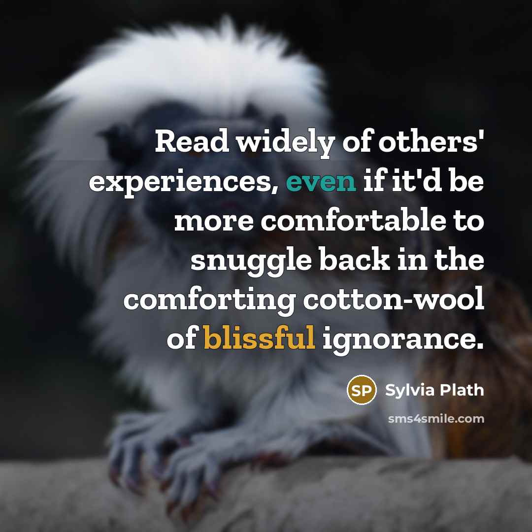 “Read widely of others' experiences, even if it'd be more comfortable to snuggle back in the comforting cotton-wool of blissful ignorance.” quote by Sylvia Plath