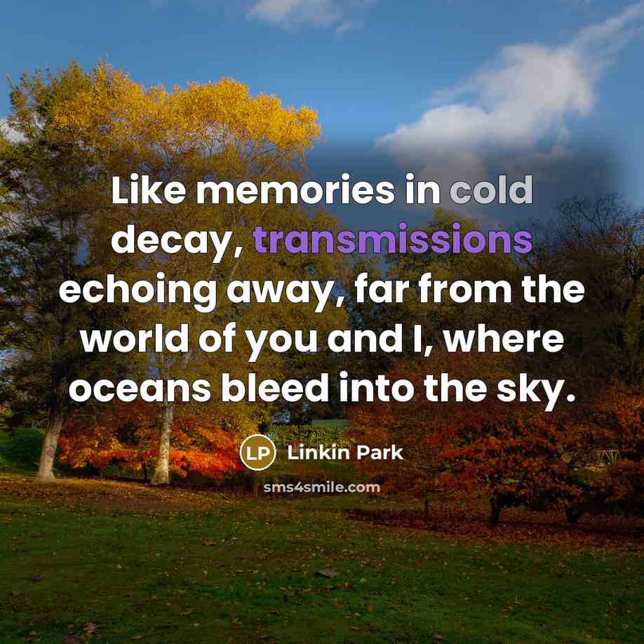 “Like memories in cold decay, transmissions echoing away, far from the world of you and I, where oceans bleed into the sky.” quote by Linkin Park