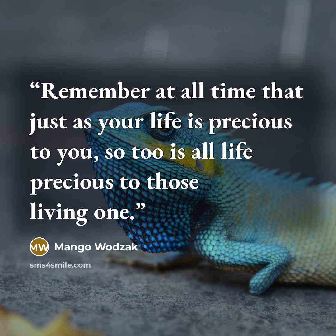“Remember at all time that just as your life is precious to you, so too is all life precious to those living one.” quote by Mango Wodzak