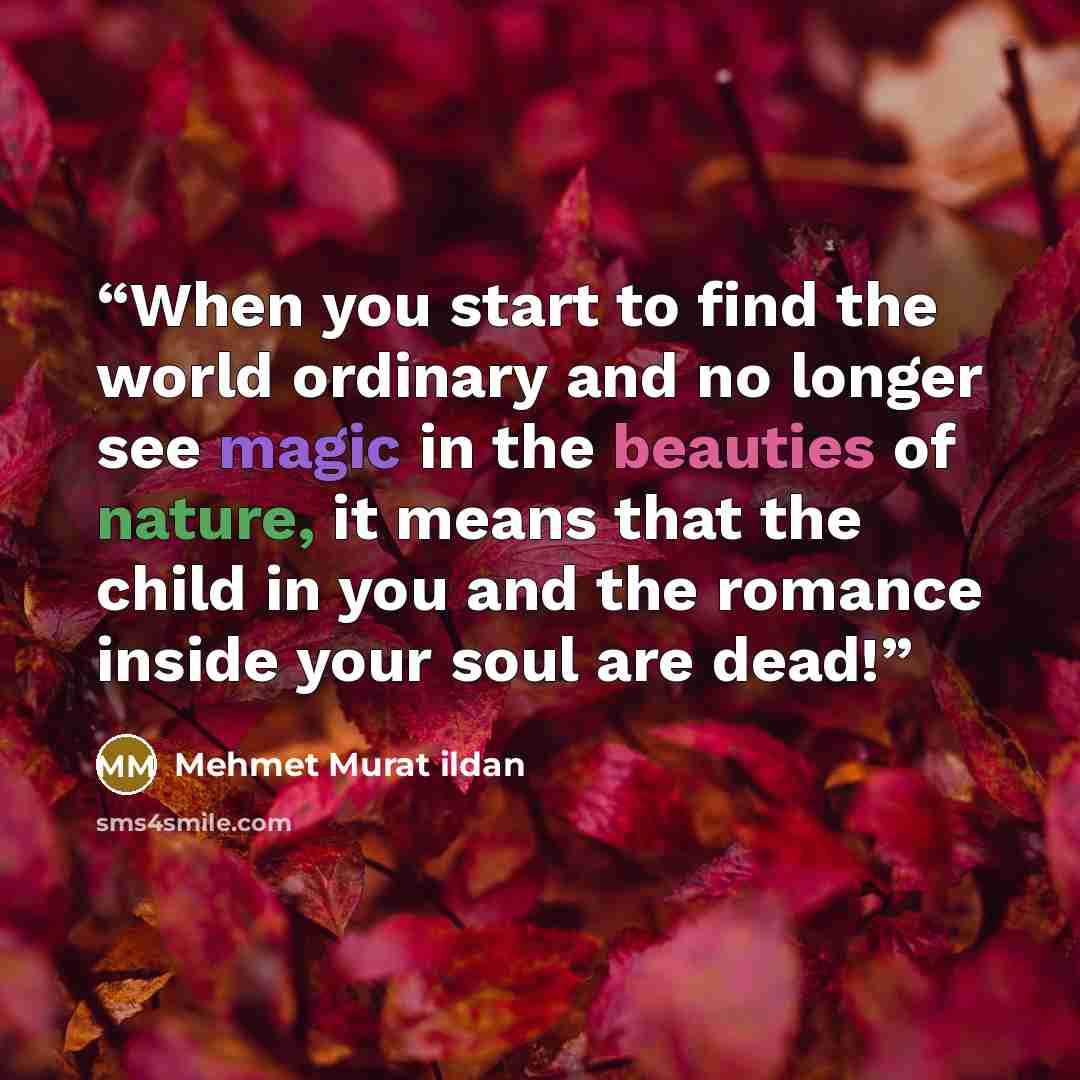 “When you start to find the world ordinary and no longer see magic in the beauties of nature, it means that the child in you and the romance inside your soul are dead!” quote by Mehmet Murat ildan