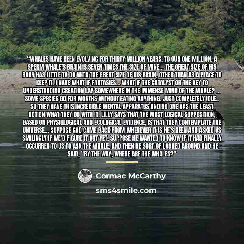 “Whales have been evolving for thirty million years. To our one million. A sperm whale’s brain is seven times the size of mine… The great size of his body has little to do with the great size of his brain, other than as a place to keep it. I have What If fantasies… What if the catalyst or the key…” quote by Cormac McCarthy