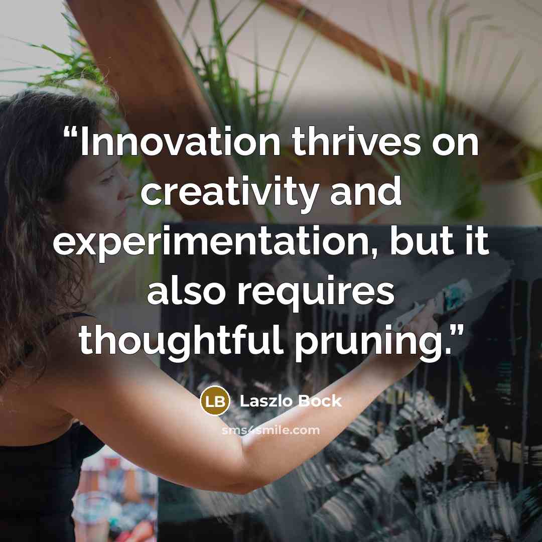 “Innovation thrives on creativity and experimentation, but it also requires thoughtful pruning.” quote by Laszlo Bock