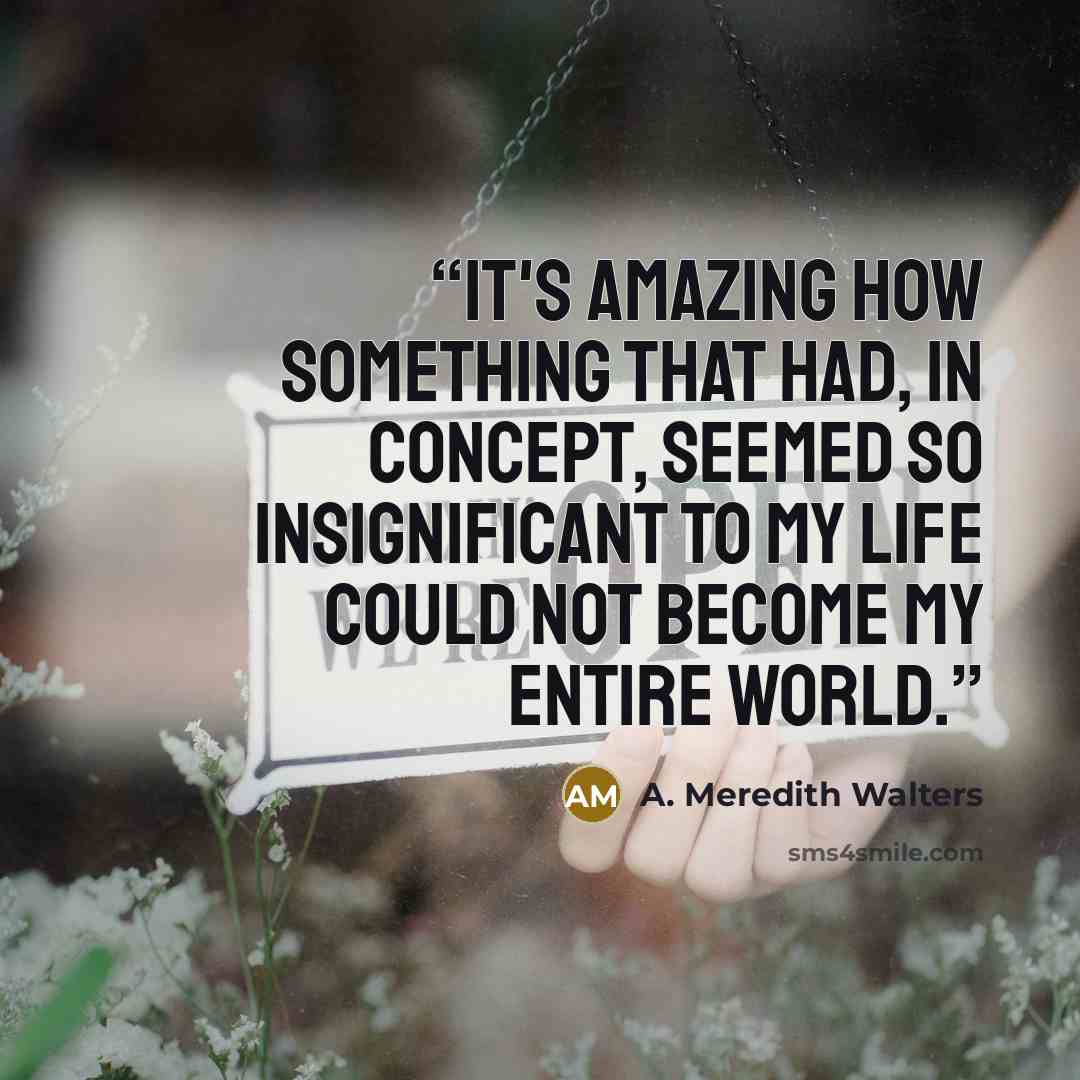 “It's amazing how something that had, in concept, seemed so insignificant to my life could not become my entire world.” quote by A. Meredith Walters