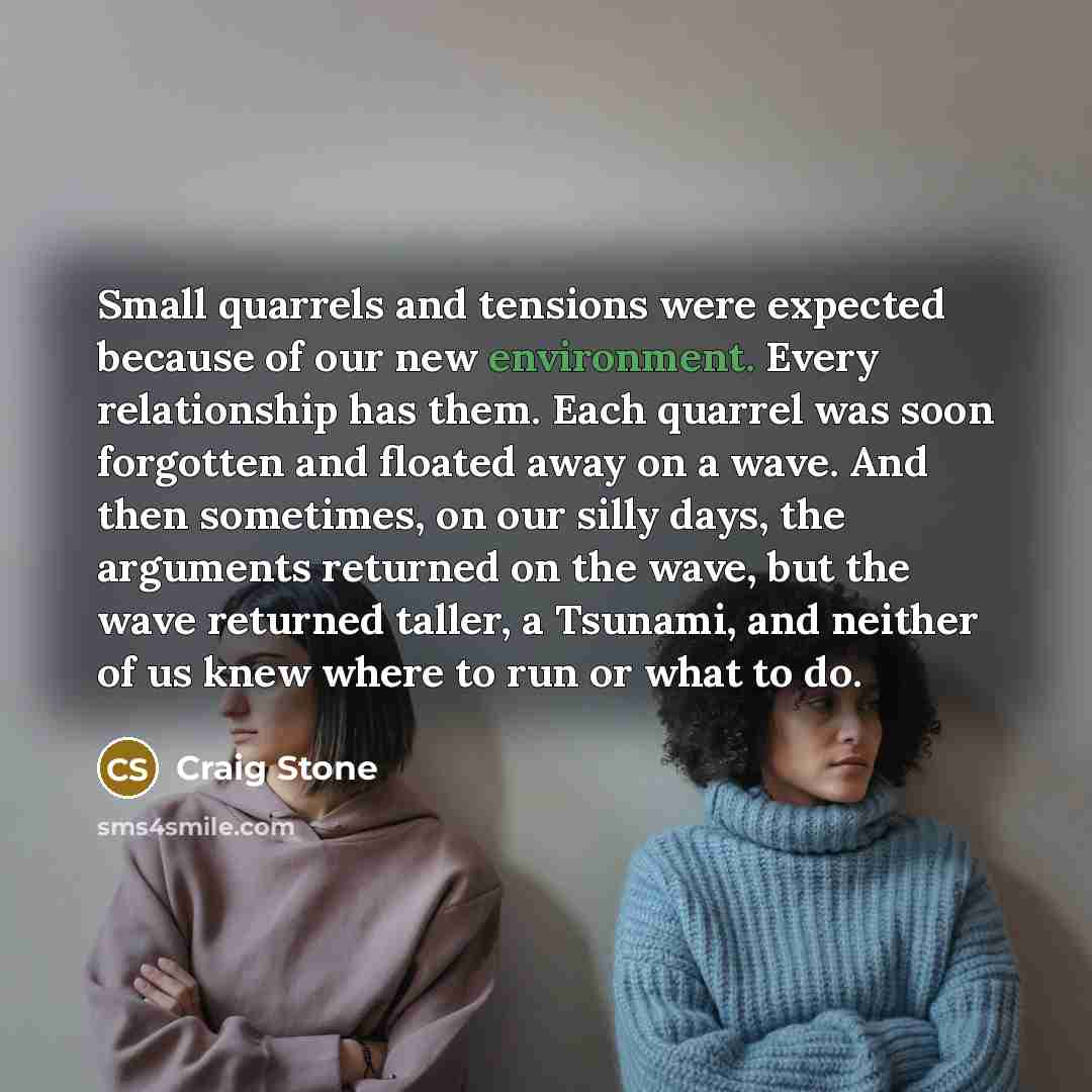 “Small quarrels and tensions were expected because of our new environment. Every relationship has them. Each quarrel was soon forgotten and floated away on a wave. And then sometimes, on our silly days, the arguments returned on the wave, but the wave returned taller, a Tsunami, and neither of us…” quote by Craig Stone