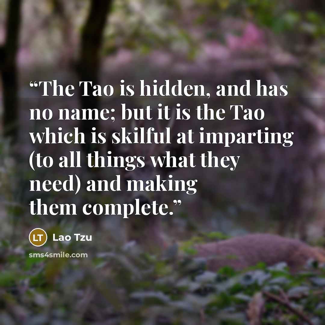 “The Tao is hidden, and has no name; but it is the Tao which is skilful at imparting (to all things what they need) and making them complete.” quote by Lao Tzu