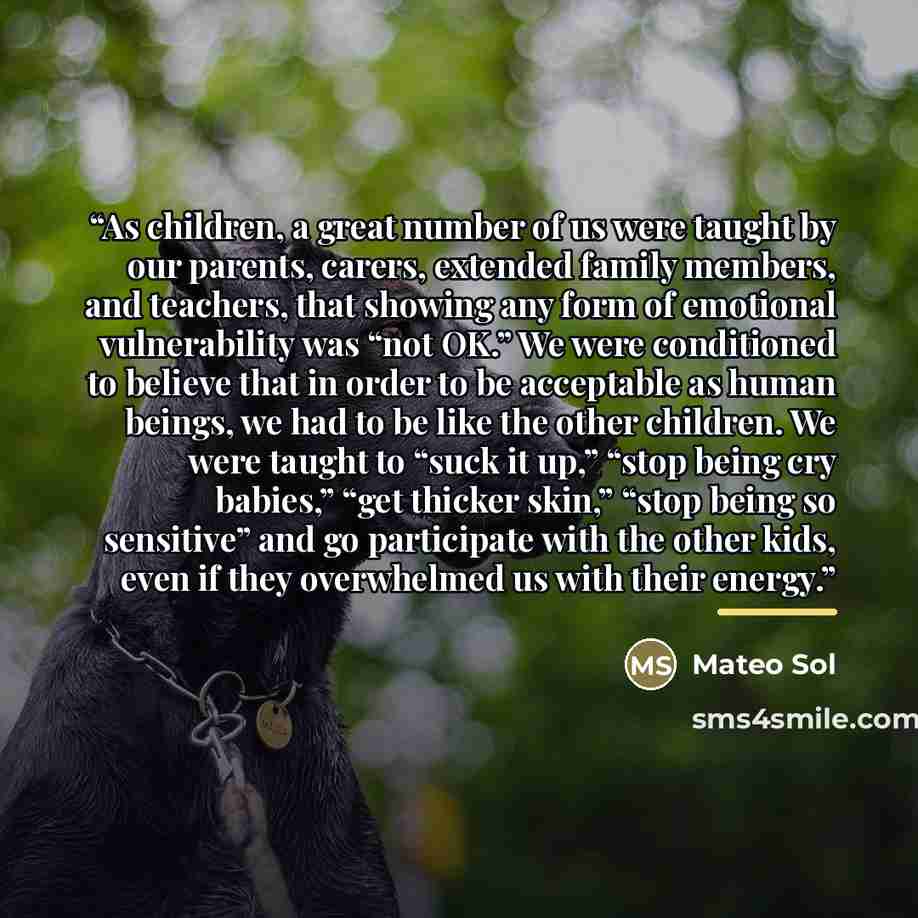 “As children, a great number of us were taught by our parents, carers, extended family members, and teachers, that showing any form of emotional vulnerability was “not OK.” We were conditioned to believe that in order to be acceptable as human beings, we had to be like the other children. We were…” quote by Mateo Sol