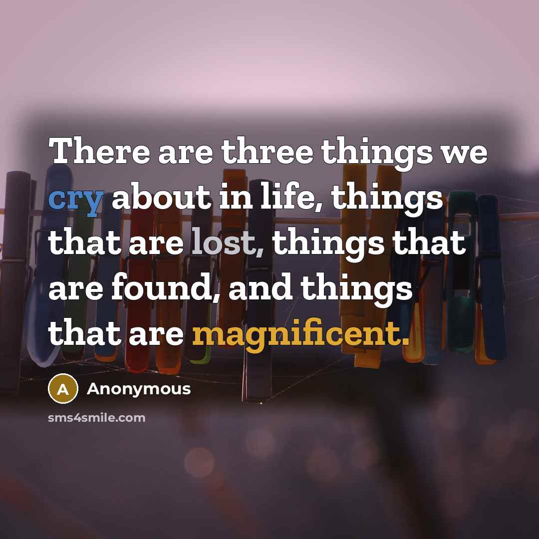 “There are three things we cry about in life, things that are lost, things that are found, and things that are magnificent.” quote by Anonymous