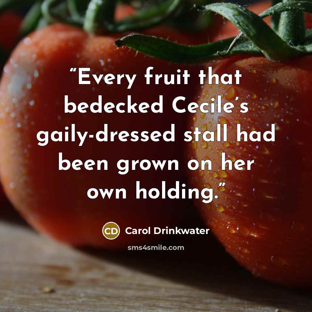 “Every fruit that bedecked Cecile’s gaily-dressed stall had been grown on her own holding.” quote by Carol Drinkwater