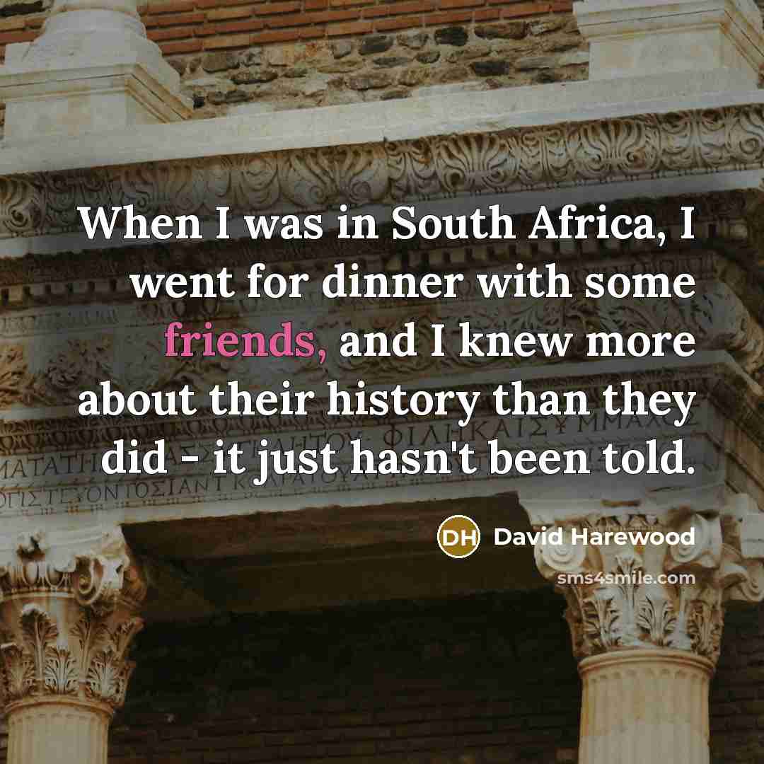 “When I was in South Africa, I went for dinner with some friends, and I knew more about their history than they did - it just hasn't been told.” quote by David Harewood