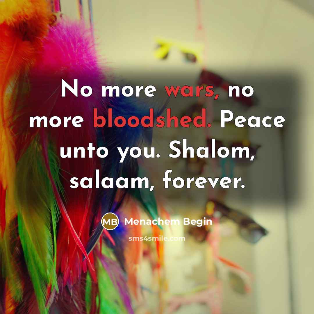 “No more wars, no more bloodshed. Peace unto you. Shalom, salaam, forever.” quote by Menachem Begin