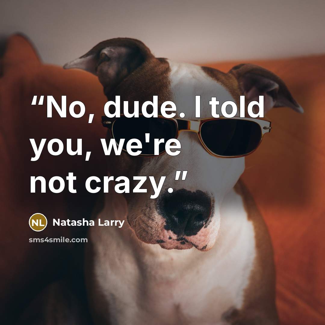 “No, dude. I told you, we're not crazy.” quote by Natasha Larry