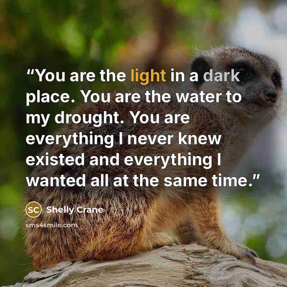 “You are the light in a dark place. You are the water to my drought. You are everything I never knew existed and everything I wanted all at the same time.” quote by Shelly Crane