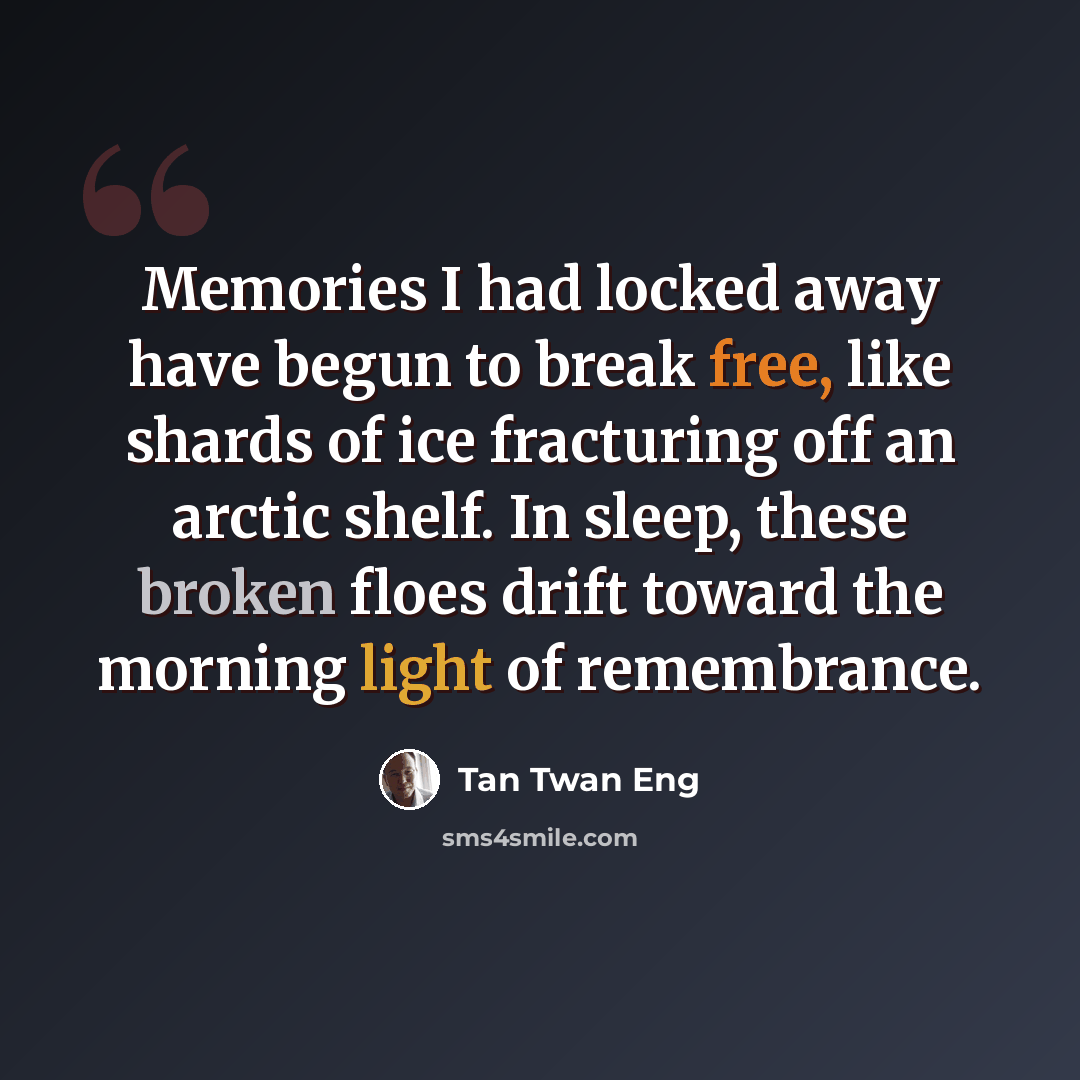 “Memories I had locked away have begun to break free, like shards of ice fracturing off an arctic shelf. In sleep, these broken floes drift toward the morning light of remembrance.” quote by Tan Twan Eng
