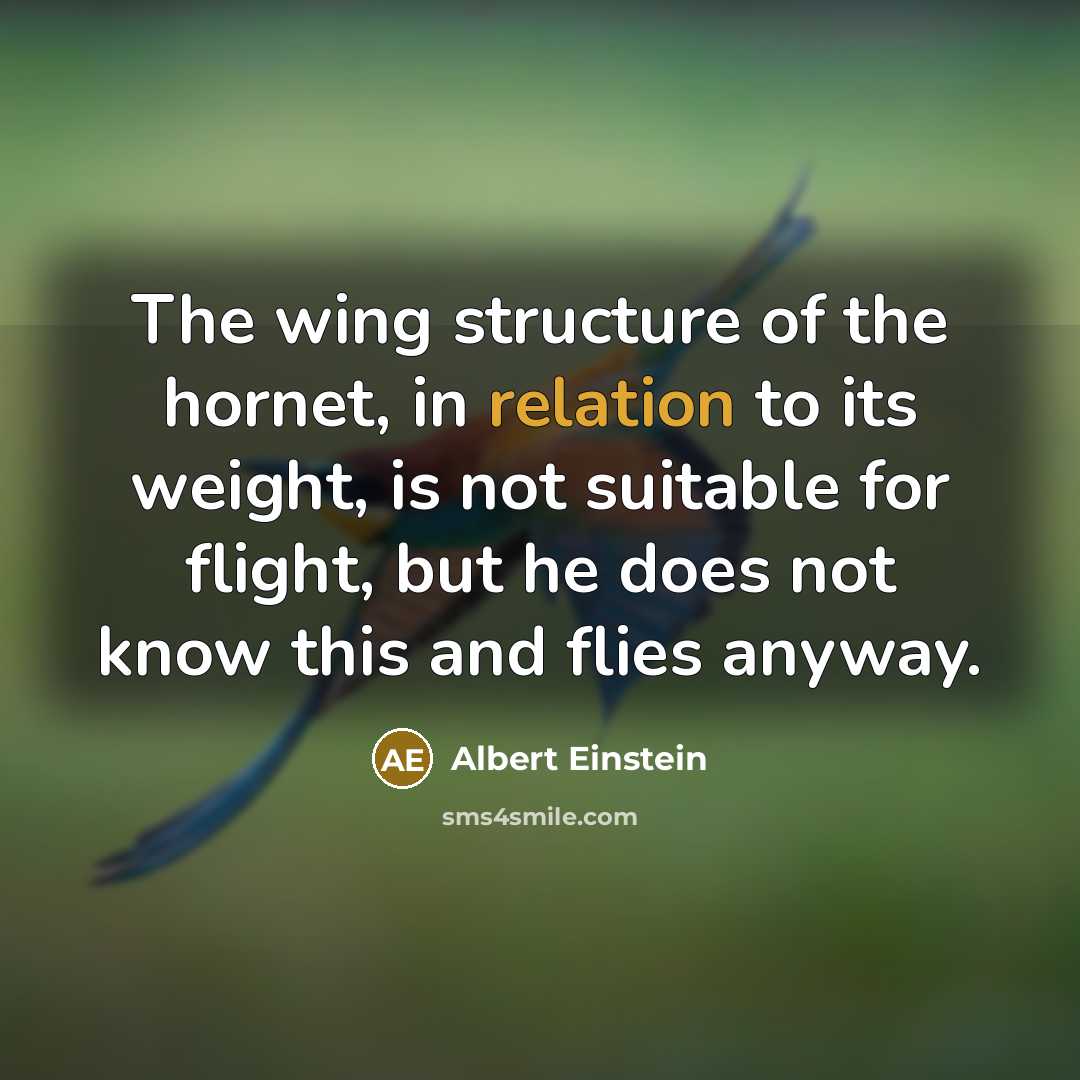“The wing structure of the hornet, in relation to its weight, is not suitable for flight, but he does not know this and flies anyway.” quote by Albert Einstein