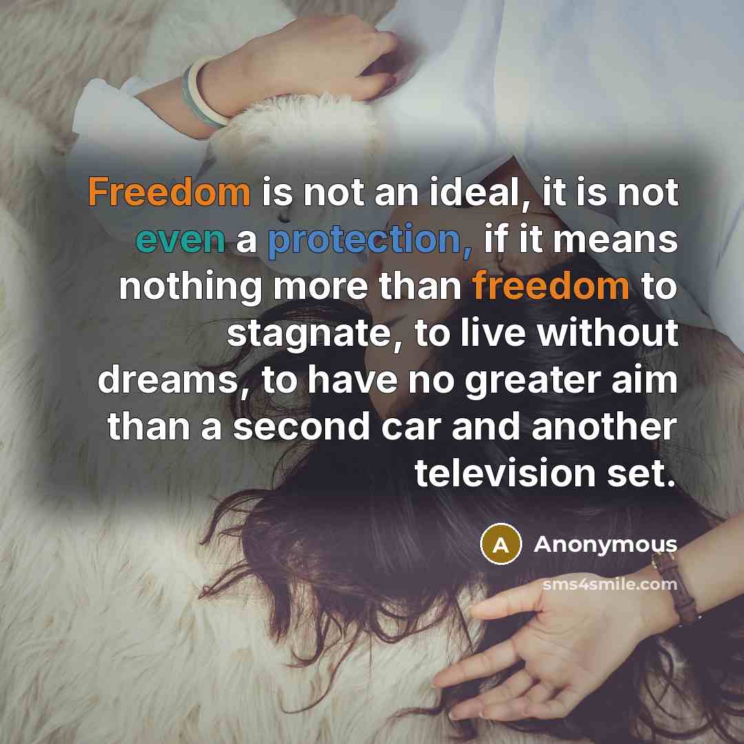 “Freedom is not an ideal, it is not even a protection, if it means nothing more than freedom to stagnate, to live without dreams, to have no greater aim than a second car and another television set.” quote by Anonymous