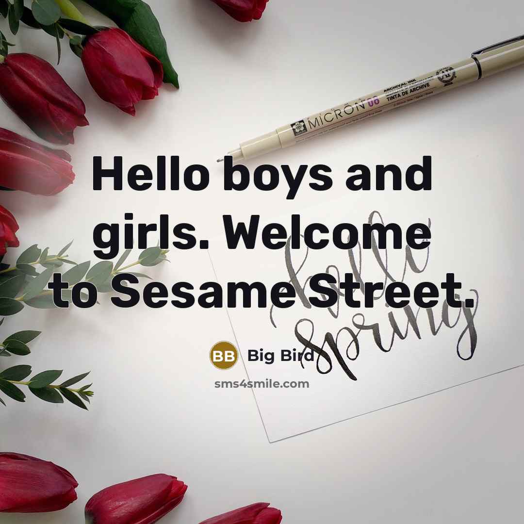“Hello boys and girls. Welcome to Sesame Street.” quote by Big Bird