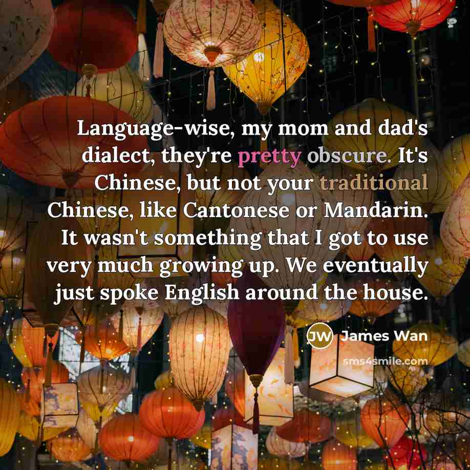 “Language-wise, my mom and dad's dialect, they're pretty obscure. It's Chinese, but not your traditional Chinese, like Cantonese or Mandarin. It wasn't something that I got to use very much growing up. We eventually just spoke English around the house.” quote by James Wan