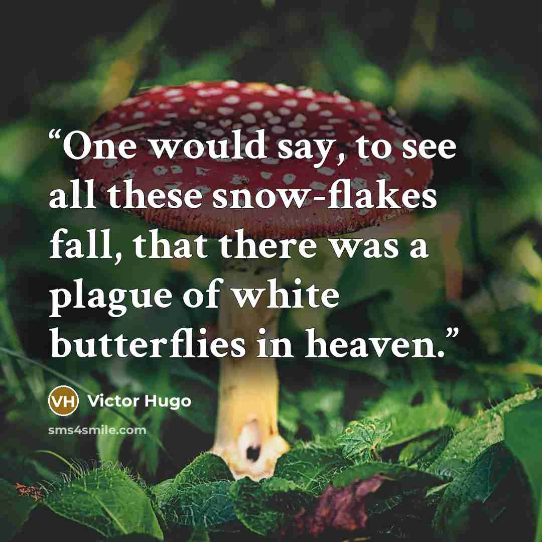 “One would say, to see all these snow-flakes fall, that there was a plague of white butterflies in heaven.” quote by Victor Hugo