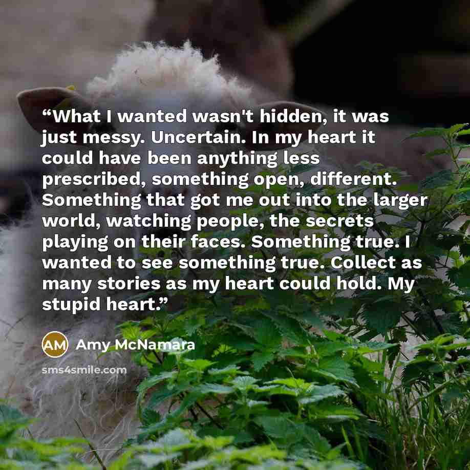 “What I wanted wasn't hidden, it was just messy. Uncertain. In my heart it could have been anything less prescribed, something open, different. Something that got me out into the larger world, watching people, the secrets playing on their faces. Something true. I wanted to see something true…” quote by Amy McNamara