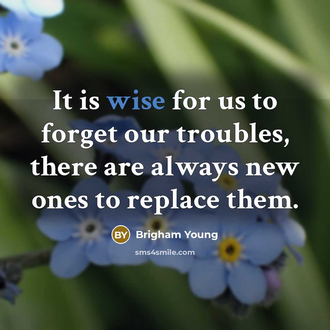 “It is wise for us to forget our troubles, there are always new ones to replace them.” quote by Brigham Young