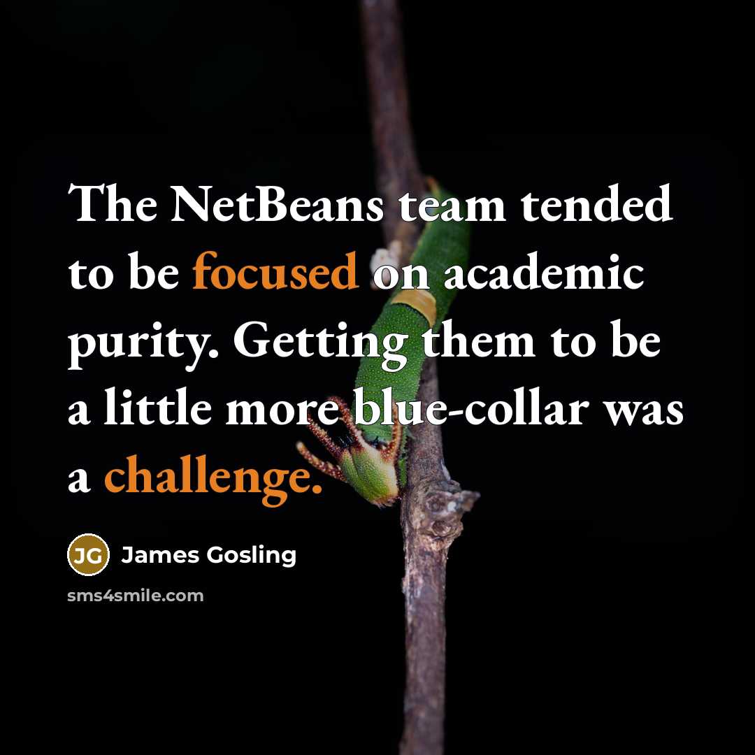 “The NetBeans team tended to be focused on academic purity. Getting them to be a little more blue-collar was a challenge.” quote by James Gosling