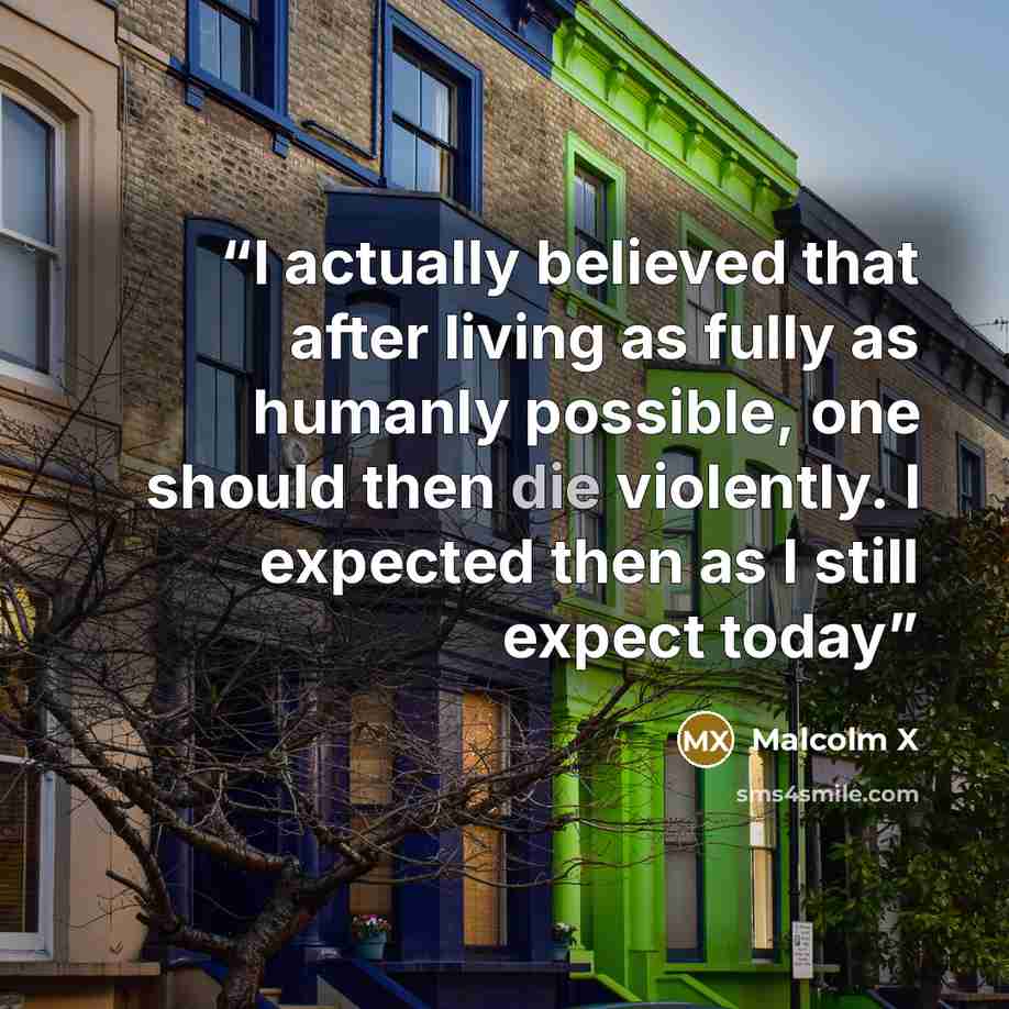 “I actually believed that after living as fully as humanly possible, one should then die violently. I expected then as I still expect today” quote by Malcolm X