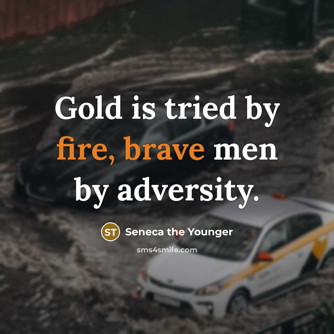 “Gold is tried by fire, brave men by adversity.” quote by Seneca the Younger