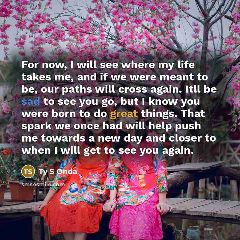 “For now, I will see where my life takes me, and if we were meant to be, our paths will cross again. Itll be sad to see you go, but I know you were born to do great things. That spark we once had will help push me towards a new day and closer to when I will get to see you again.” quote by Ty S Onda