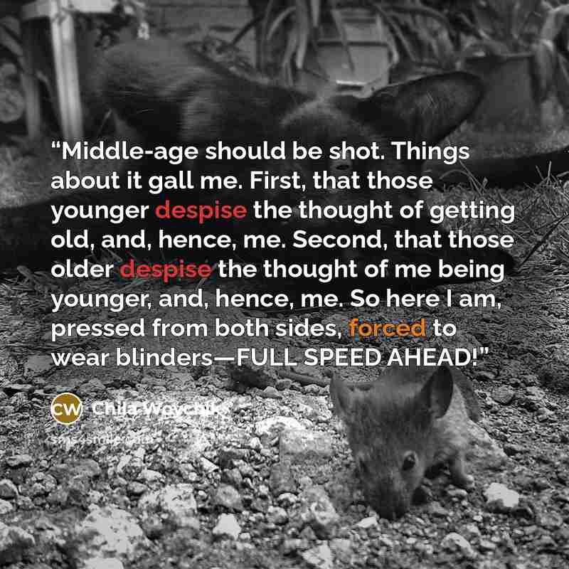 “Middle-age should be shot. Things about it gall me. First, that those younger despise the thought of getting old, and, hence, me. Second, that those older despise the thought of me being younger, and, hence, me. So here I am, pressed from both sides, forced to wear blinders—FULL SPEED AHEAD!” quote by Chila Woychik