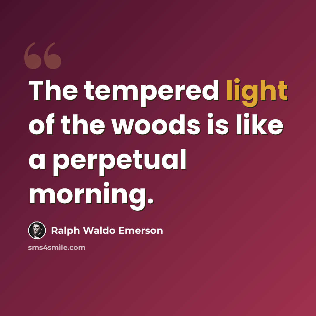 “The tempered light of the woods is like a perpetual morning.” quote by Ralph Waldo Emerson