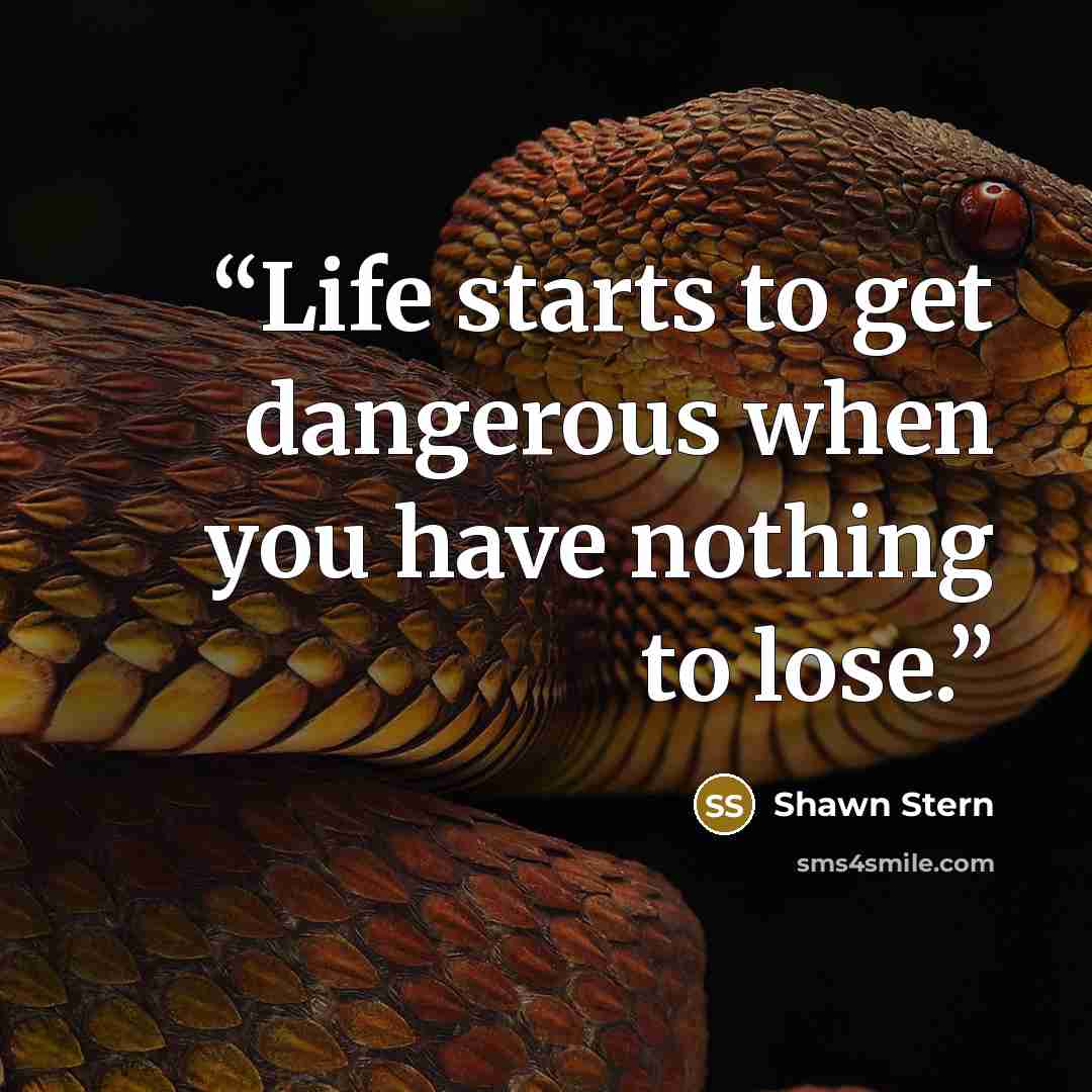 “Life starts to get dangerous when you have nothing to lose.” quote by Shawn Stern