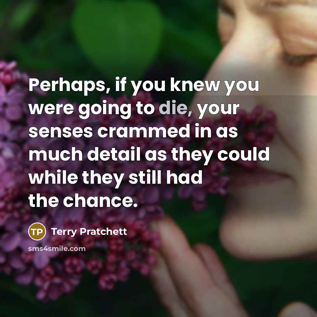“Perhaps, if you knew you were going to die, your senses crammed in as much detail as they could while they still had the chance.” quote by Terry Pratchett