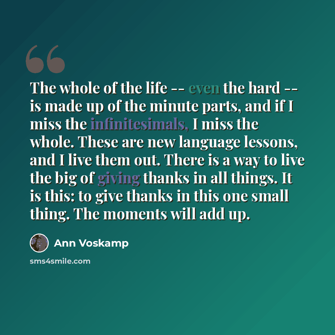 “The whole of the life -- even the hard -- is made up of the minute parts, and if I miss the infinitesimals, I miss the whole. These are new language lessons, and I live them out. There is a way to live the big of giving thanks in all things. It is this: to give thanks in this one small thing. The…” quote by Ann Voskamp