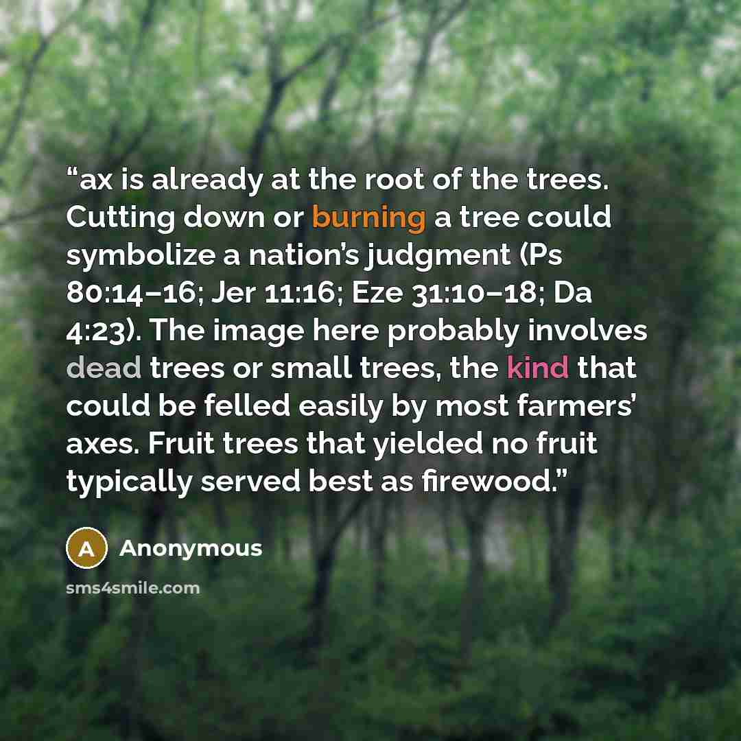 “ax is already at the root of the trees. Cutting down or burning a tree could symbolize a nation’s judgment (Ps 80:14–16; Jer 11:16; Eze 31:10–18; Da 4:23). The image here probably involves dead trees or small trees, the kind that could be felled easily by most farmers’ axes. Fruit trees that…” quote by Anonymous