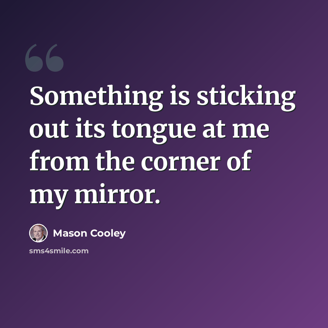 “Something is sticking out its tongue at me from the corner of my mirror.” quote by Mason Cooley