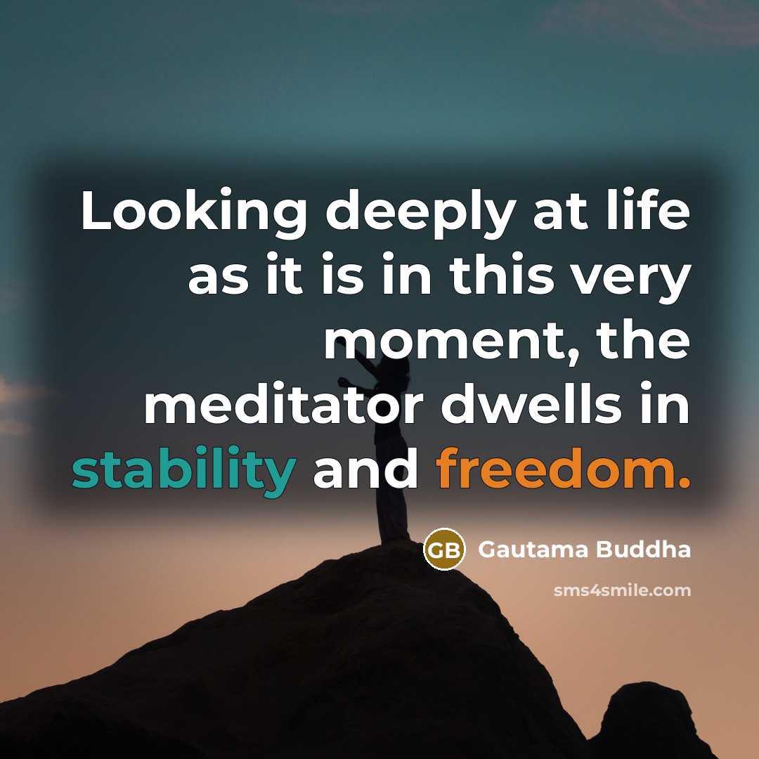 “Looking deeply at life as it is in this very moment, the meditator dwells in stability and freedom.” quote by Gautama Buddha