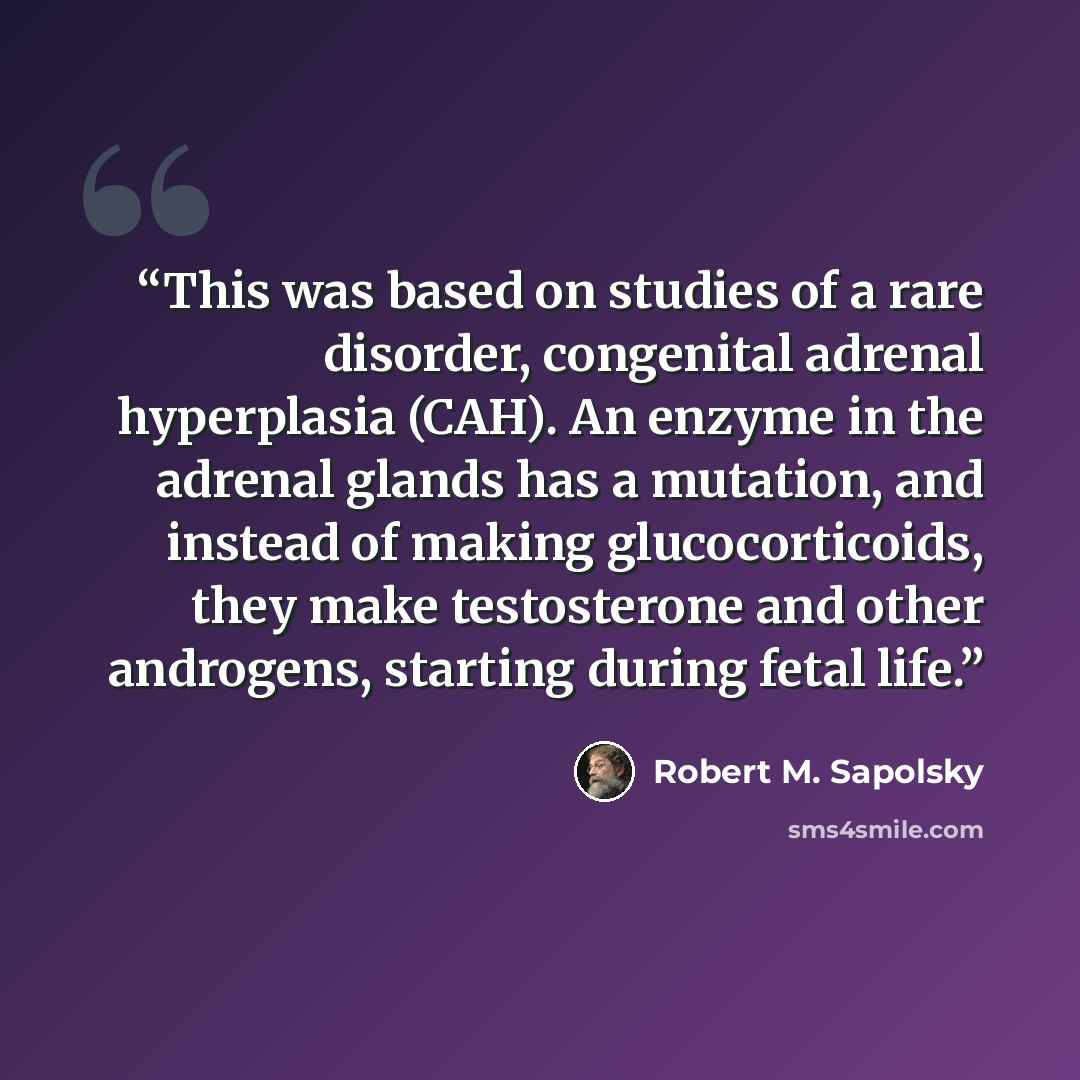 “This was based on studies of a rare disorder, congenital adrenal hyperplasia (CAH). An enzyme in the adrenal glands has a mutation, and instead of making glucocorticoids, they make testosterone and other androgens, starting during fetal life.” quote by Robert M. Sapolsky