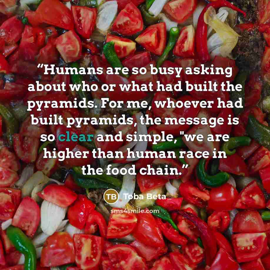 “Humans are so busy asking about who or what had built the pyramids. For me, whoever had built pyramids, the message is so clear and simple, "we are higher than human race in the food chain.” quote by Toba Beta