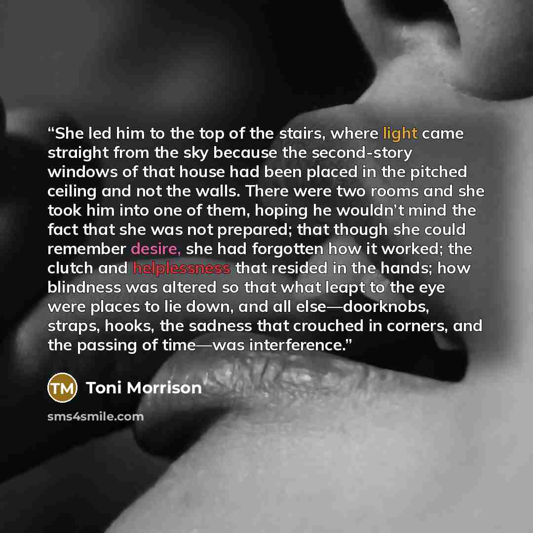 “She led him to the top of the stairs, where light came straight from the sky because the second-story windows of that house had been placed in the pitched ceiling and not the walls. There were two rooms and she took him into one of them, hoping he wouldn’t mind the fact that she was not prepared…” quote by Toni Morrison