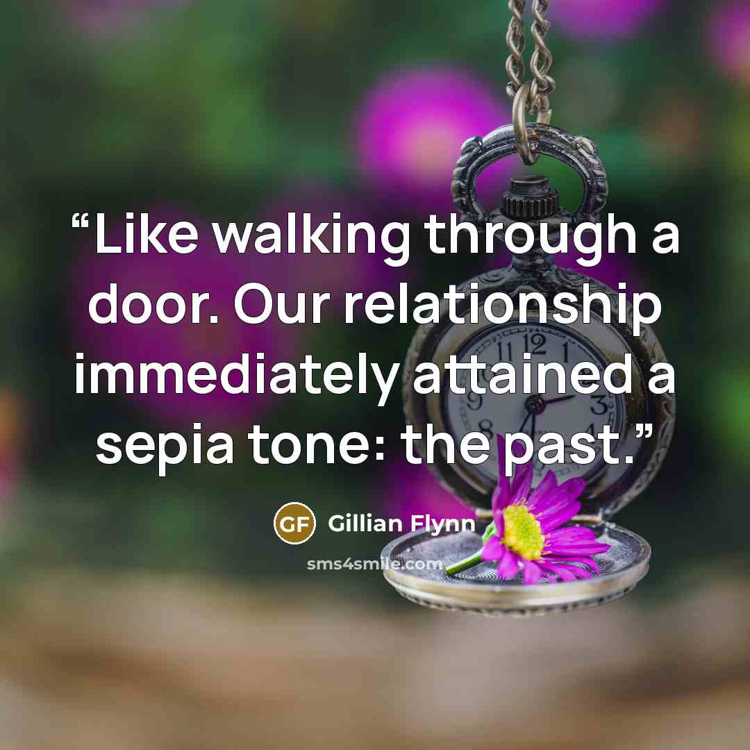 “Like walking through a door. Our relationship immediately attained a sepia tone: the past.” quote by Gillian Flynn