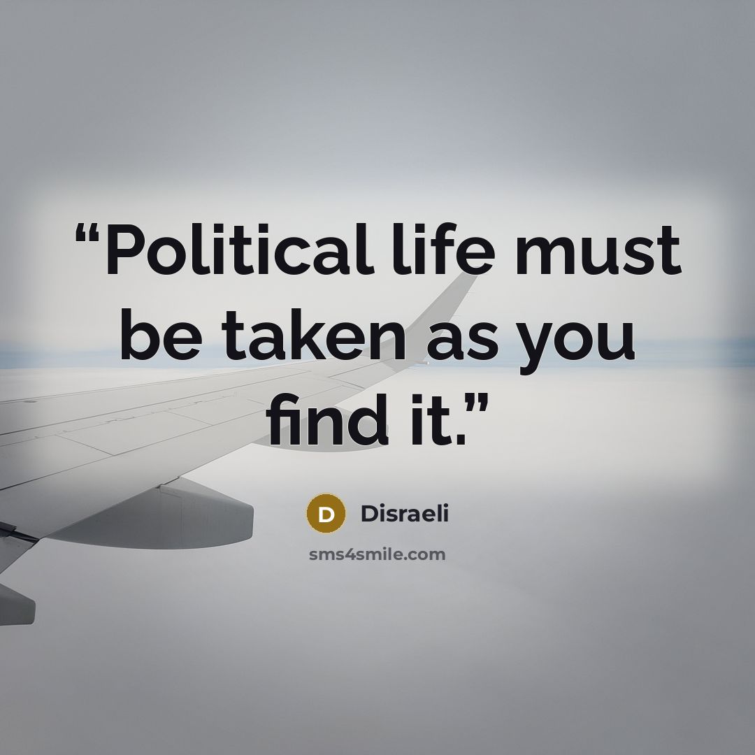 “Political life must be taken as you find it.” quote by Disraeli