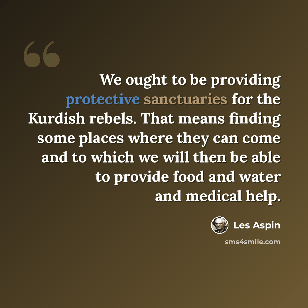 “We ought to be providing protective sanctuaries for the Kurdish rebels. That means finding some places where they can come and to which we will then be able to provide food and water and medical help.” quote by Les Aspin